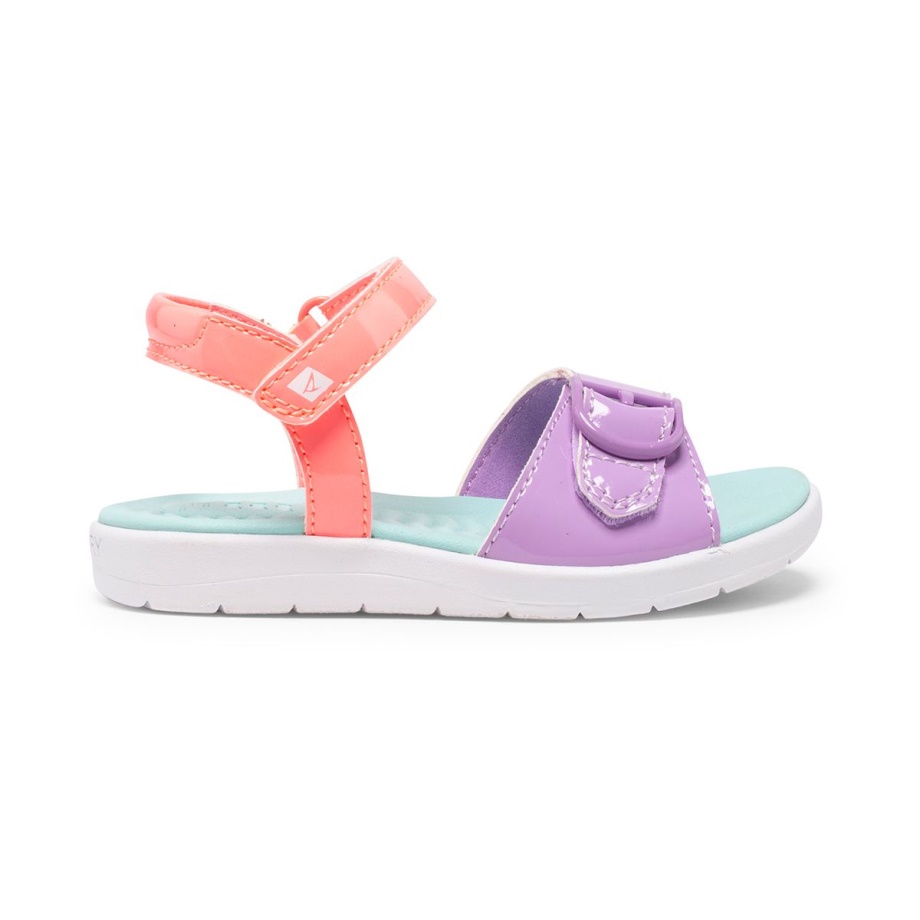 Kadırga Plushwave Sandal Sperry Multi