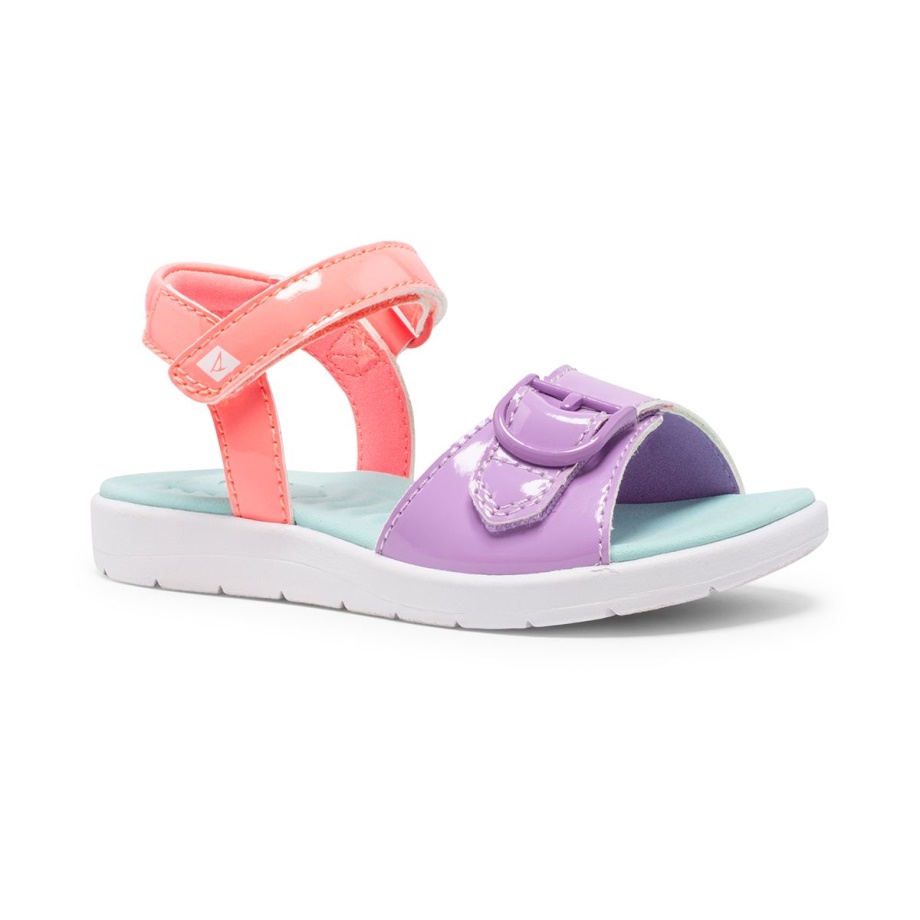 Kadırga Plushwave Sandal Sperry Multi