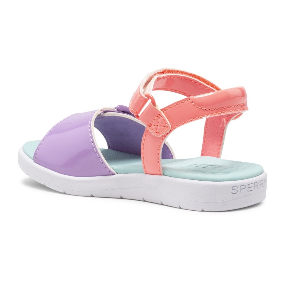 Kadırga Plushwave Sandal Sperry Multi