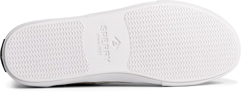 Sperry Striper Ii Ombre Cvo Spor Ayakkabı çimentosu