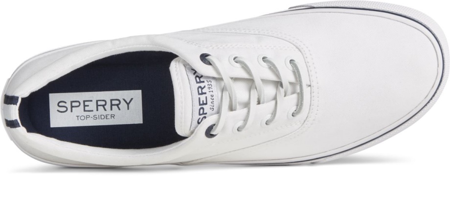 Sperry Striper Ii Dimi Cvo Spor Ayakkabı Beyaz