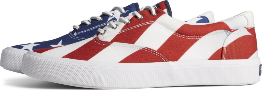 Striper Ii Cvo Americana Spor Ayakkabı Siyah Multi Sperry