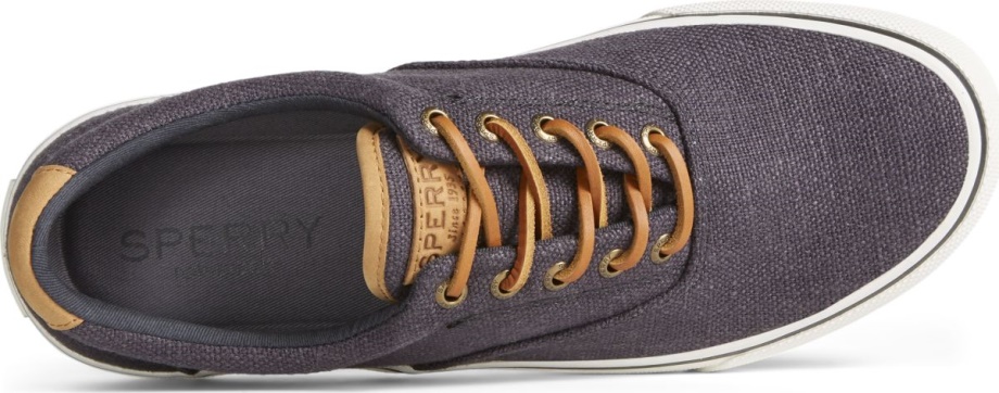 Striper Ii Cvo Kenevir Spor Ayakkabı Sperry Siyah